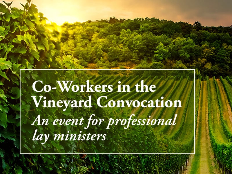 Co-worker in the Vineyard Convocation