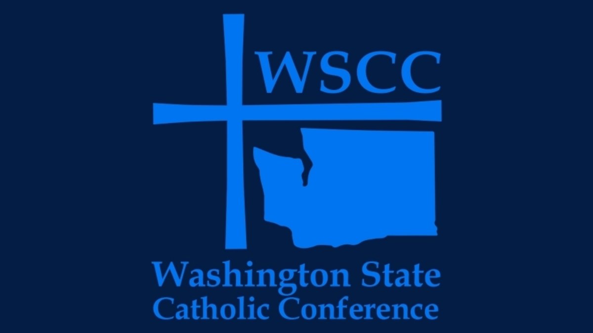 WSCC logo blue-min WSCC logo blue-min