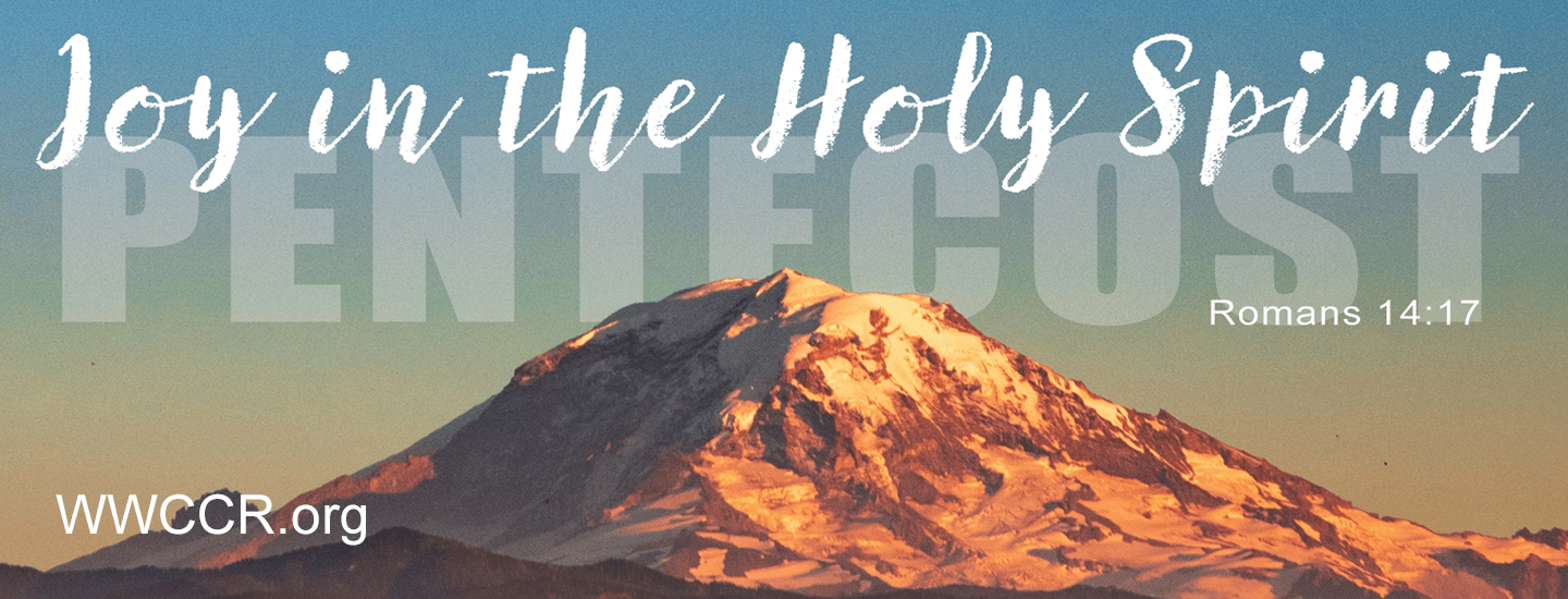 Joy in the Holy Spirit