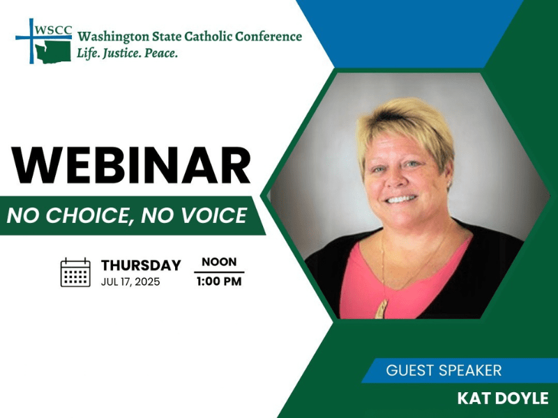 Kat Doyle WSCC webinar human trafficking no choice no voice-min Kat Doyle WSCC webinar human trafficking no choice no voice-min
